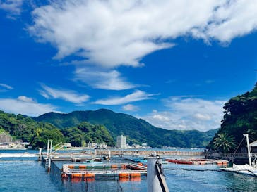 あわしまマリンパークに投稿された画像（2025/6/26）