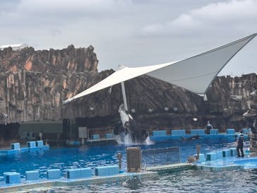 名古屋港水族館に投稿された画像（2025/6/26）