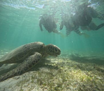 元気玉に投稿された画像（2025/6/26）