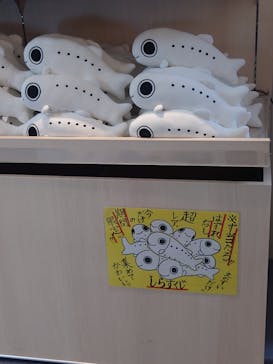 新江ノ島水族館に投稿された画像（2025/6/26）