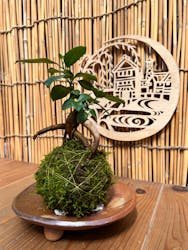 倉敷グリーンファームに投稿された画像（2025/6/26）