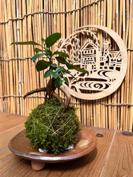 倉敷グリーンファームに投稿された画像（2025/6/26）