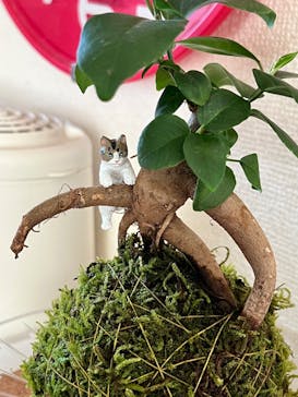 倉敷グリーンファームに投稿された画像（2025/6/26）