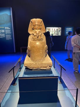 ACN ラムセス大王展 ファラオたちの黄金に投稿された画像（2025/6/26）