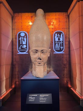 ACN ラムセス大王展 ファラオたちの黄金に投稿された画像（2025/6/26）