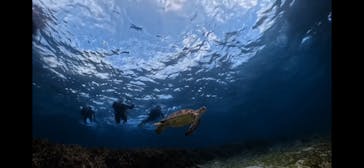 Dive Center OKKYに投稿された画像（2025/6/26）