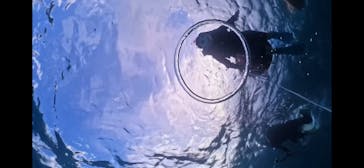 Dive Center OKKYに投稿された画像（2025/6/26）