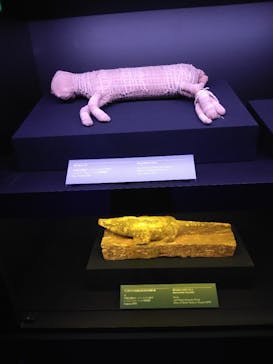 ACN ラムセス大王展 ファラオたちの黄金に投稿された画像（2025/6/26）