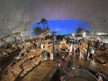 福井県立恐竜博物館に投稿された画像（2025/6/26）