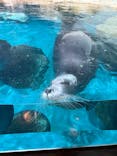 大分マリーンパレス水族館 「うみたまご」に投稿された画像（2025/6/26）