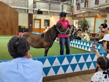 ノーザンホースパークに投稿された画像（2025/6/26）