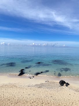 Dive Center OKKYに投稿された画像（2025/6/26）