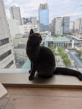 カワスイ 川崎⽔族館に投稿された画像（2025/6/26）