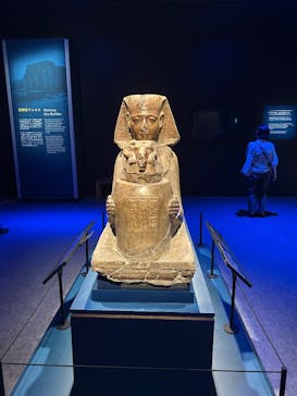 ACN ラムセス大王展 ファラオたちの黄金に投稿された画像（2025/6/26）