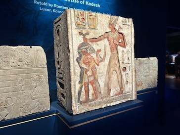 ACN ラムセス大王展 ファラオたちの黄金に投稿された画像（2025/6/26）