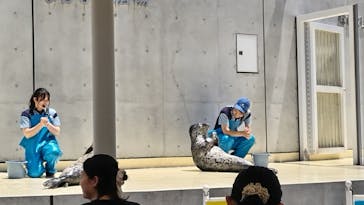 島根県立 しまね海洋館に投稿された画像（2025/6/26）