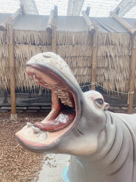 東京サマーランドに投稿された画像（2025/6/26）