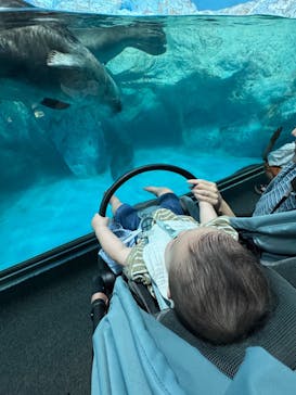 鴨川シーワールドに投稿された画像（2025/6/27）