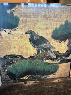 元離宮二条城に投稿された画像（2025/6/27）