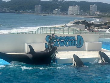 鴨川シーワールドに投稿された画像（2025/6/27）
