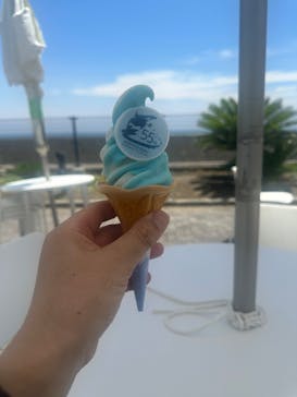 鴨川シーワールドに投稿された画像（2025/6/27）