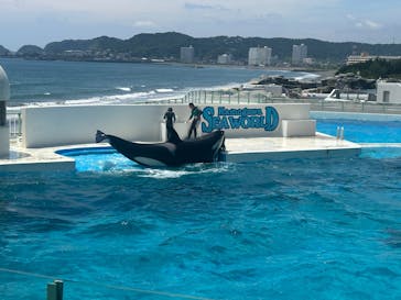 鴨川シーワールドに投稿された画像（2025/6/27）