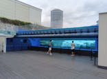 サンシャイン水族館に投稿された画像（2025/6/27）