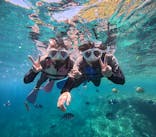 沖縄マリンサービス碧に投稿された画像（2025/6/27）