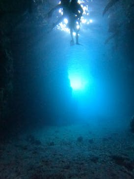 武藤潜水に投稿された画像（2025/6/27）