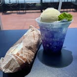 新江ノ島水族館に投稿された画像（2025/6/27）