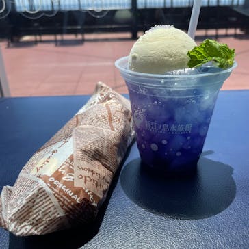 新江ノ島水族館に投稿された画像（2025/6/27）