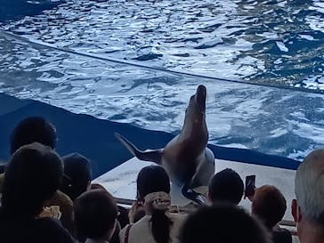 アクアワールド茨城県大洗水族館に投稿された画像（2025/6/27）