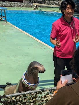 あわしまマリンパークに投稿された画像（2025/6/27）