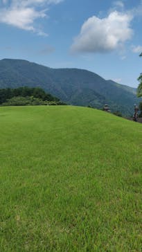 彫刻の森美術館に投稿された画像（2025/6/27）