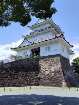 小田原城に投稿された画像（2025/6/27）