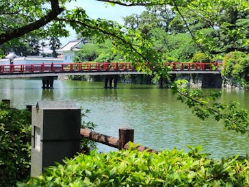 小田原城に投稿された画像（2025/6/27）