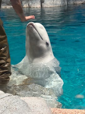 名古屋港水族館に投稿された画像（2025/6/27）