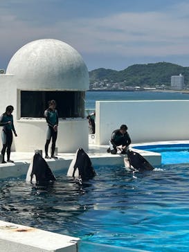 鴨川シーワールドに投稿された画像（2025/6/27）