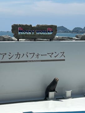 鴨川シーワールドに投稿された画像（2025/6/27）