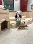いぬカフェRio 富士見店に投稿された画像（2025/6/27）