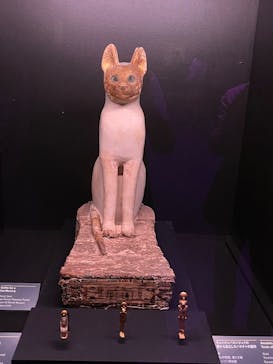 ACN ラムセス大王展 ファラオたちの黄金に投稿された画像（2025/6/27）