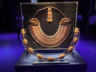 ACN ラムセス大王展 ファラオたちの黄金に投稿された画像（2025/6/27）