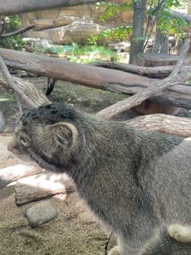 那須どうぶつ王国に投稿された画像（2025/6/27）