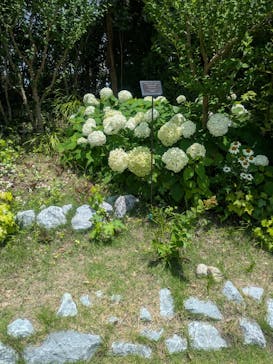 安城産業文化公園デンパークに投稿された画像（2025/6/27）