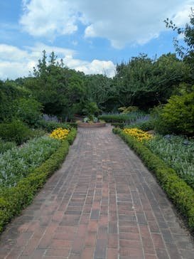 安城産業文化公園デンパークに投稿された画像（2025/6/27）