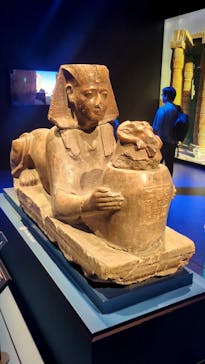 ACN ラムセス大王展 ファラオたちの黄金に投稿された画像（2025/6/27）