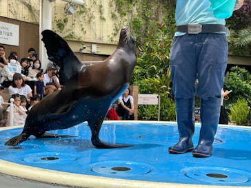サンシャイン水族館に投稿された画像（2025/6/27）