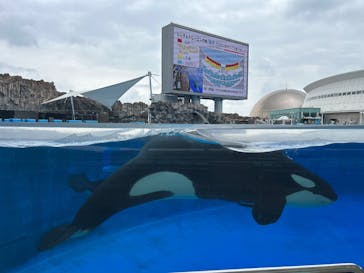 名古屋港水族館に投稿された画像（2023/9/22）