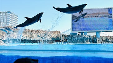 名古屋港水族館に投稿された画像（2023/9/22）