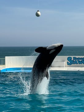 鴨川シーワールドに投稿された画像（2025/6/27）